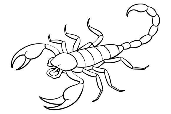 Download Scorpion Vector Coloring Page Image - Vector Collection
