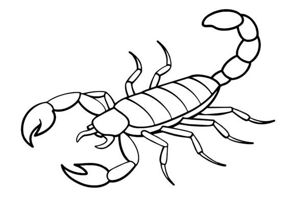 Download Scorpion Vector Coloring Page Image - Vector Collection