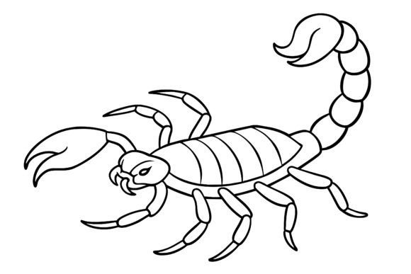 Download Scorpion Vector Coloring Page Image - Vector Collection