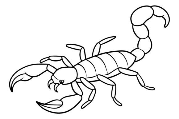 Download Scorpion Vector Coloring Page Image - Vector Collection