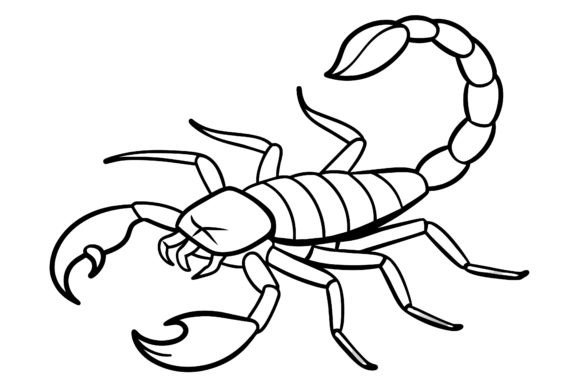 Download Scorpion Vector Coloring Page Image - Vector Collection