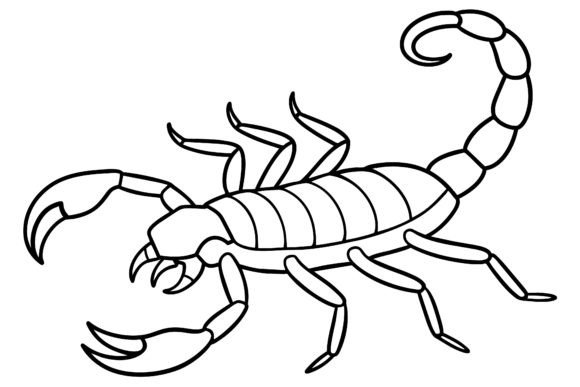 Download Scorpion Vector Coloring Page Image - Vector Collection