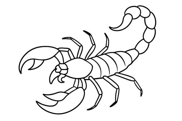Download Scorpion Vector Coloring Page Image - Vector Collection