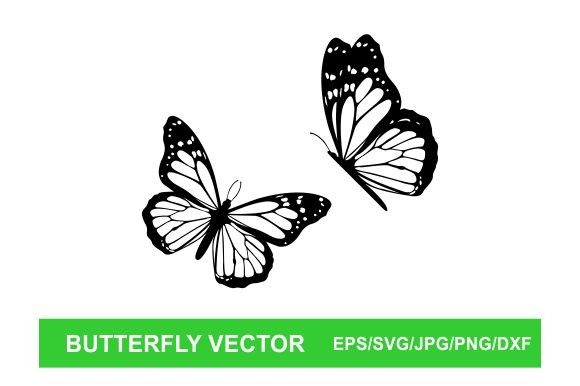 Download Butterfly Vector - Vector Collection