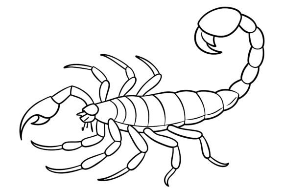 Download Scorpion Vector Coloring Page Image - Vector Collection