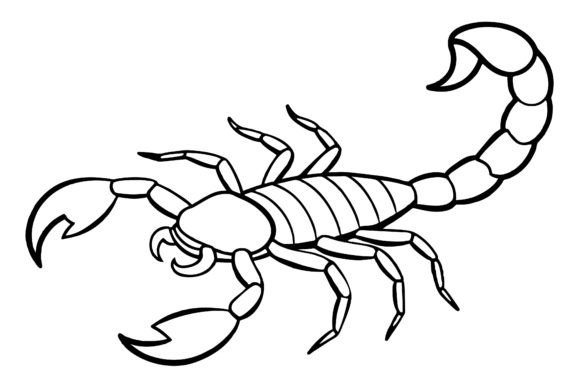 Download Scorpion Vector Coloring Page Image - Vector Collection
