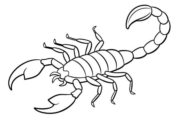 Download Scorpion Vector Coloring Page Image - Vector Collection